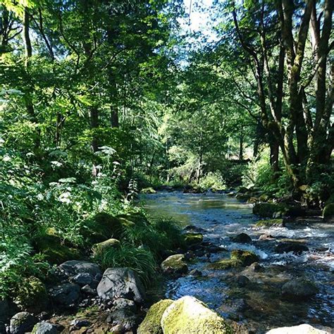 北風水|北向きの部屋と相性の良い色を風水で解説！運気が。